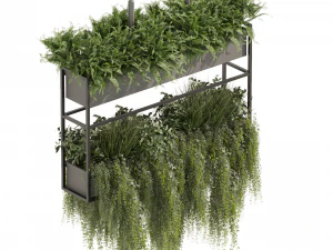 Коллекционное растение vol 483 &ndash; висячее &ndash; кустовое &ndash; ампельное. 3D Модель