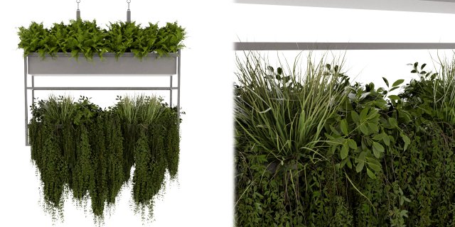 Collection plant vol 483 - blender model Modello 3D .c4d .max .obj .3ds .fbx .stl .blend 
