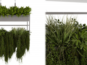 Collection plant vol 483 - blender model 3D Модель