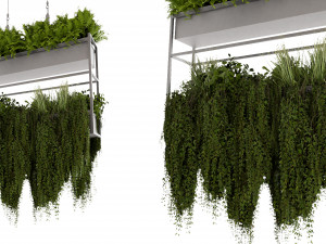 Collection plant vol 483 - blender model Modello 3D