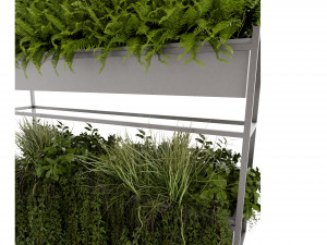 Collection plant vol 483 - blender model Modello 3D