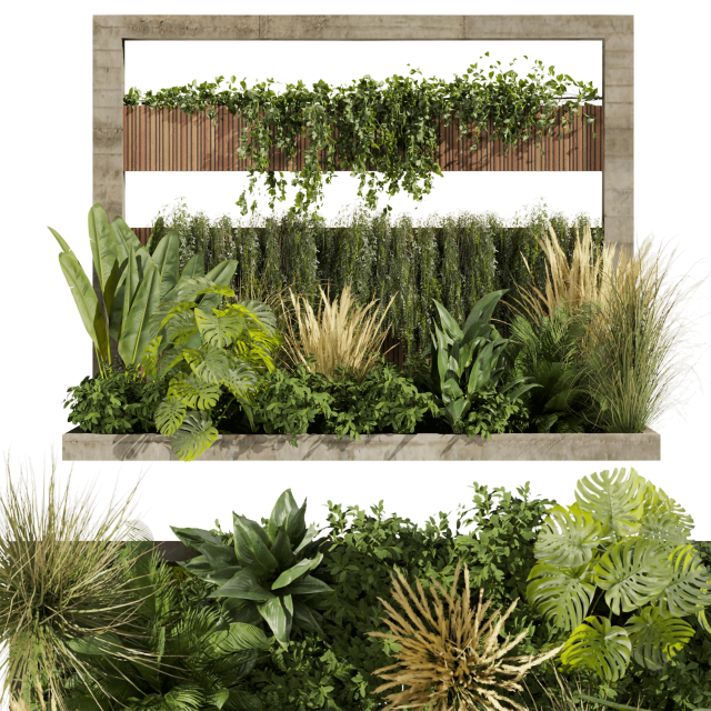 Collection plant vol 484 - garden - palm - grass - leaf Modelo 3D .c4d .max .obj .3ds .fbx .stl .blend 