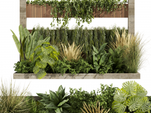 Collection plant vol 484 - garden - palm - grass - leaf 3Dモデル