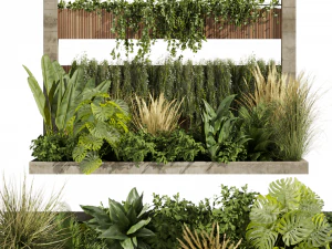 Коллекционное растение, том 484 - сад - пальма - трава - лист 3D Модель