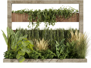 Collection plant vol 484 - garden - palm - grass - leaf 3D Model