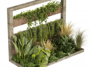 Collection plant vol 484 - garden - palm - grass - leaf 3D Model