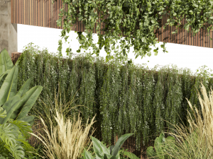 Collection plant vol 484 - garden - palm - grass - leaf Modelo 3D