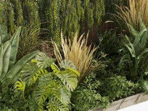 Collection plant vol 484 - garden - palm - grass - leaf Modelo 3D