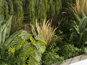 Collection plant vol 484 - garden - palm - grass - leaf 3D Model