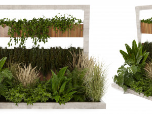 Collection plant vol 484 - blender model Modello 3D