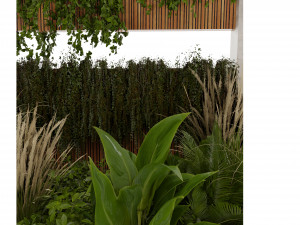 Collection plant vol 484 - blender model Modelo 3D
