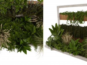 Collection plant vol 484 - blender model Modelo 3D