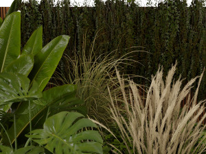 Collection plant vol 484 - blender model Modelo 3D