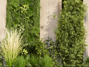 Collection plant vol 485 - garden - pampas - 3d curves - grass Model 3D