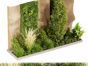 Collection plant vol 485 - garden - pampas - 3d curves - grass 3D Модель