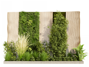 Collection plant vol 485 - garden - pampas - 3d curves - grass Model 3D
