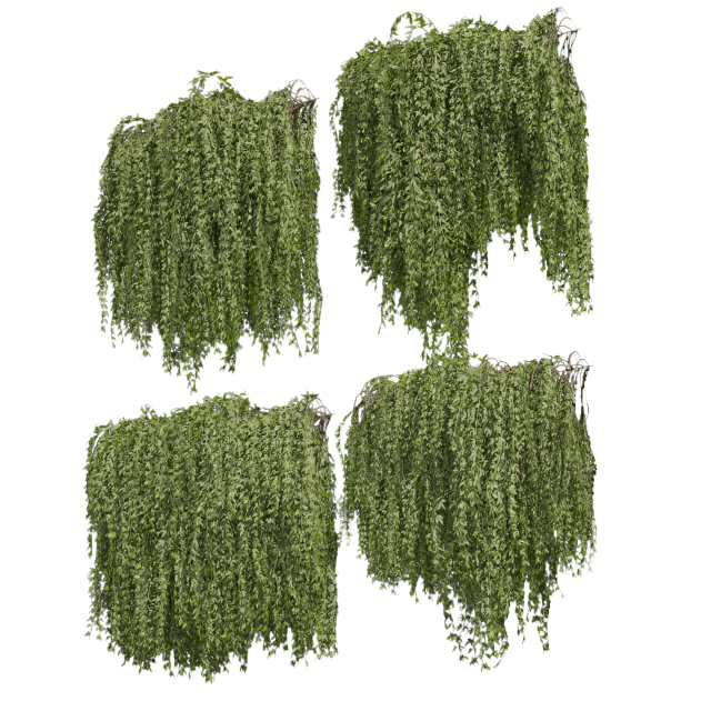 Collection plant vol 486 - outdoor - leaf - fitowall - ivy Modelo 3D .c4d .max .obj .3ds .fbx .stl .blend 
