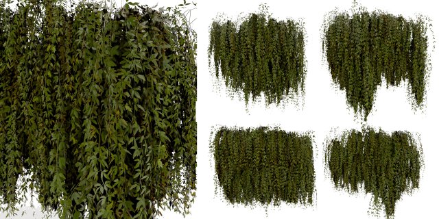Collection plant vol 486 - blender model 3D Model .c4d .max .obj .3ds .fbx .stl .blend 
