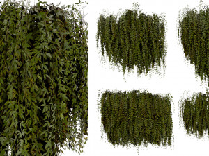 Collection plant vol 486 - blender model 3Dモデル