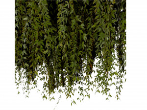 Collection plant vol 486 - blender model 3D Model