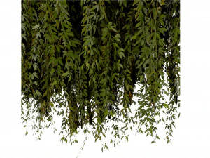 Collection plant vol 486 - blender model 3D Model