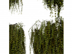 Collection plant vol 486 - blender model 3D Model