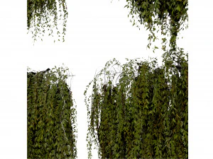 Collection plant vol 486 - blender model 3D Model