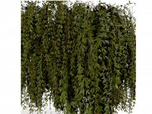 Collection plant vol 486 - blender model 3D Model