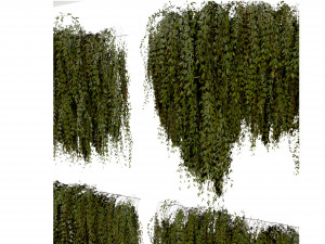 Collection plant vol 486 - blender model 3D Model