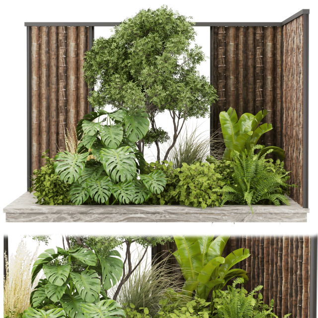 Collection plant vol 488 - garden - leaf - palm - wood Modelo 3D .c4d .max .obj .3ds .fbx .stl .blend 