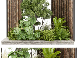 Plante de collection vol 488 - jardin - feuille - palmier - bois Modèle 3D