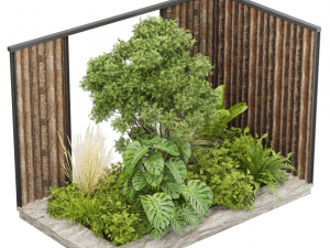 Collection plant vol 488 - garden - leaf - palm - wood Modelo 3D