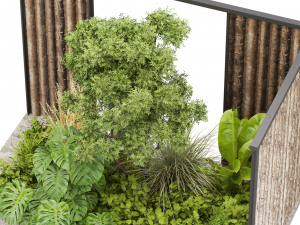 Collection plant vol 488 - garden - leaf - palm - wood Modelo 3D