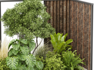 Collection plant vol 488 - garden - leaf - palm - wood Modelo 3D