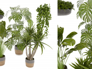 Collection plant vol 489 - blender model Model 3D