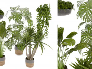 Planta de coleta vol 489 - modelo liquidificador Modelo 3D