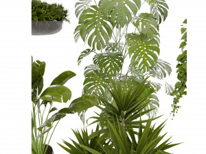 Collection plant vol 489 - blender model 3D Model