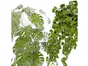 Collection plant vol 489 - blender model 3D Model