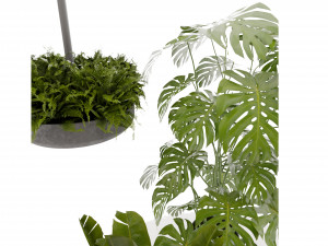 Collection plant vol 489 - blender model 3D Model