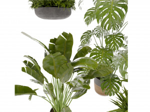 Collection plant vol 489 - blender model 3D Model