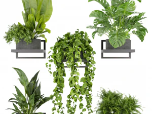 Cole&ccedil;&atilde;o planta vol 490 - palmeira-pendurada - banana - monstera Modelo 3D