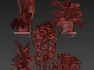 Collection plant vol 490 - hanging- palm - banana - monstera 3D Model