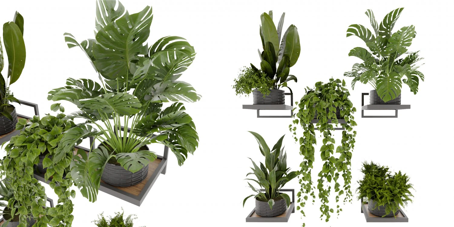 Collection plant vol 490 - blender model 3D Model .c4d .max .obj .3ds .fbx .stl .blend 