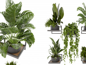 Collection plant vol 490 - blender model Modèle 3D