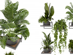 Planta de coleta vol 490 - modelo liquidificador Modelo 3D