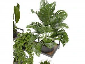 Collection plant vol 490 - blender model 3D Model