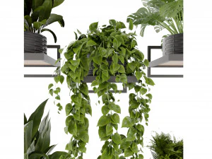 Collection plant vol 490 - blender model 3D Model