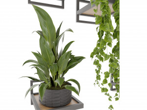 Collection plant vol 490 - blender model 3D Модель