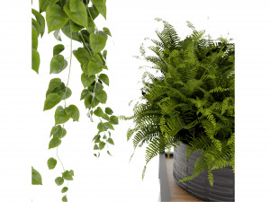 Collection plant vol 490 - blender model 3D Модель