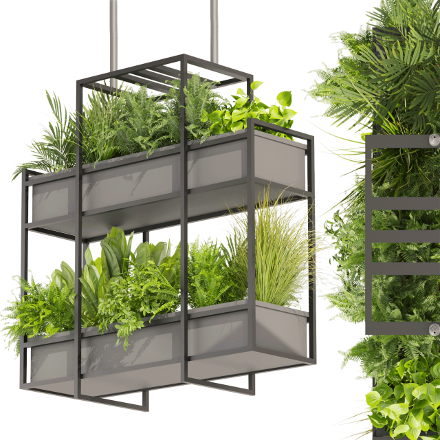 Collection plant vol 491 - hanging - bush - ampelous Model 3D .c4d .max .obj .3ds .fbx .stl .blend